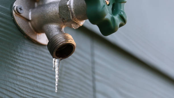 Best Emergency Plumber  in Pleak, TX